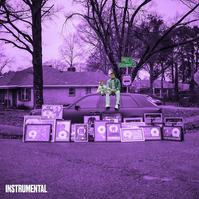 Cottonwood 2 (Instrumental) cover