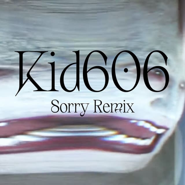 Sorry (Kid606 Remix) cover