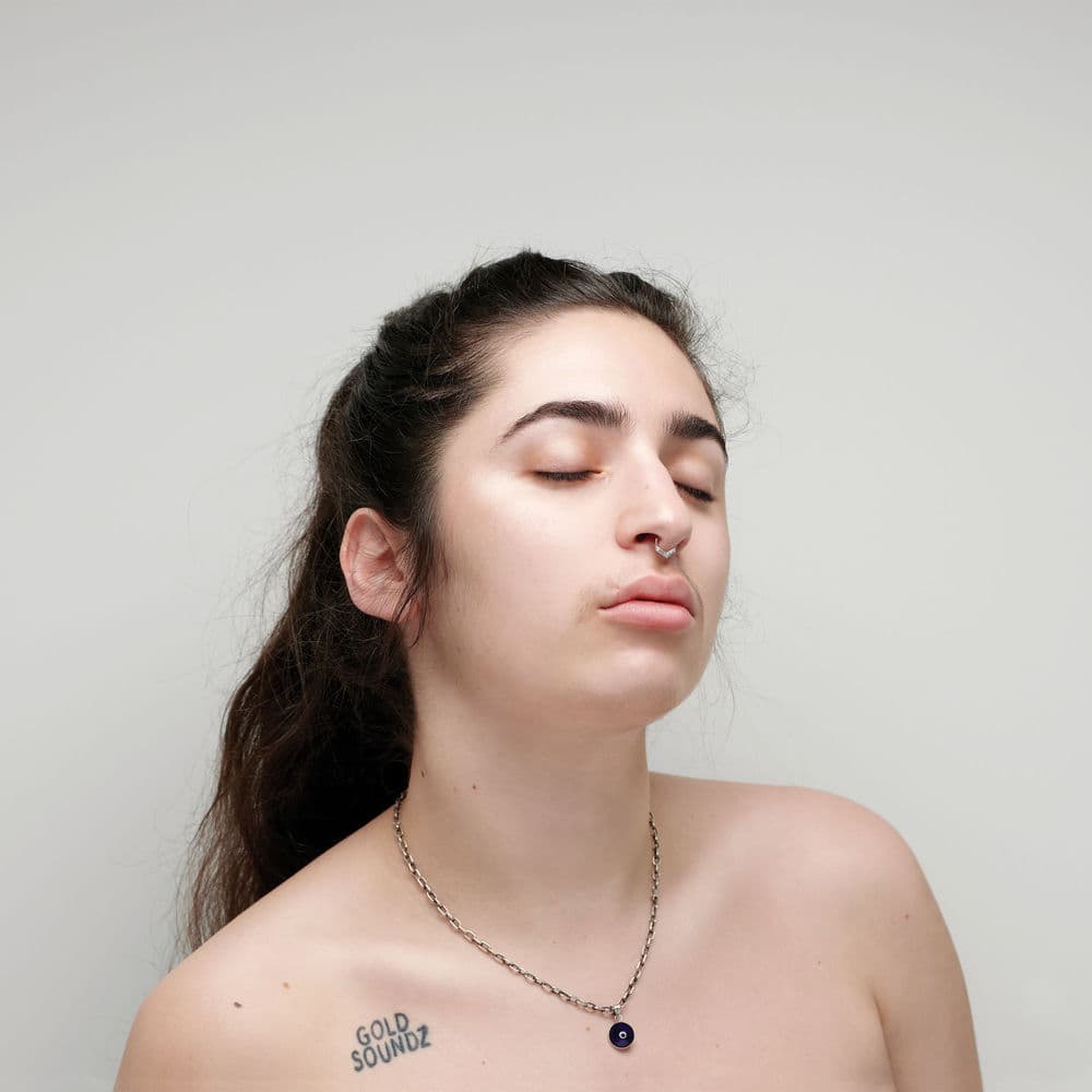 Pleaser cover
