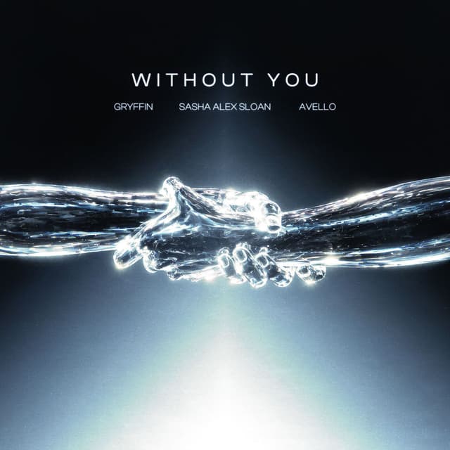 Without You (feat. Sasha Alex Sloan) cover