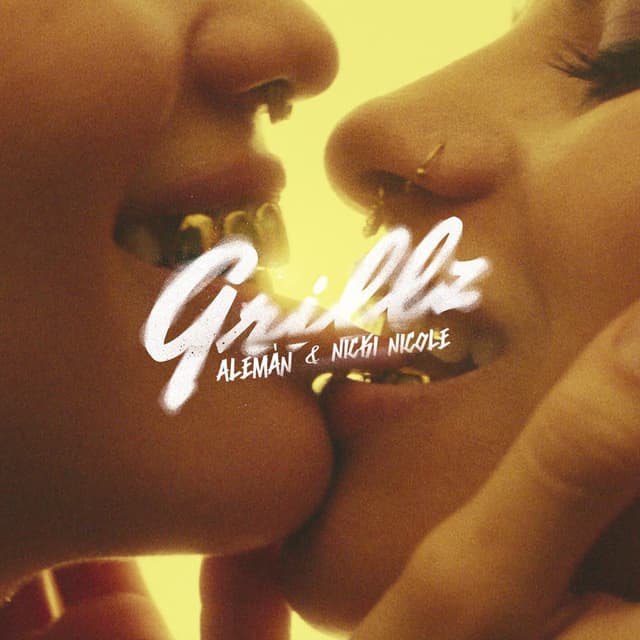 Grillz cover
