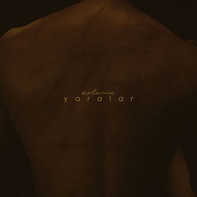 yaralar cover