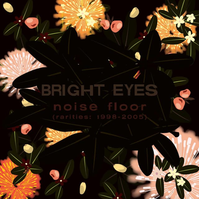 Noise Floor (Rarities: 1998-2005) cover