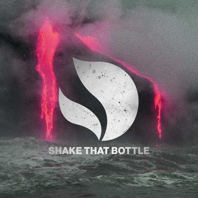 Shake That Bottle cover