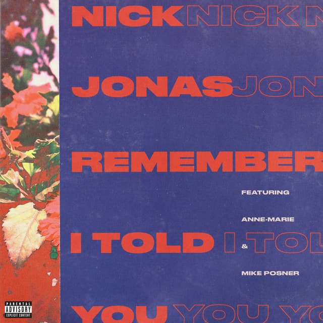 Remember I Told You album cover
