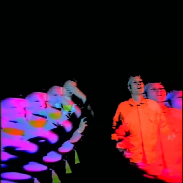 Waiting For The Punchline (Swallertrip) cover