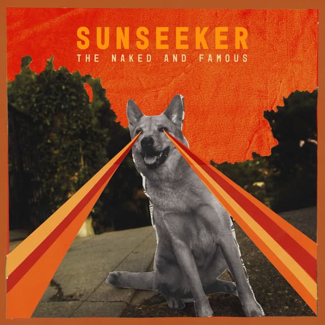 Sunseeker album cover