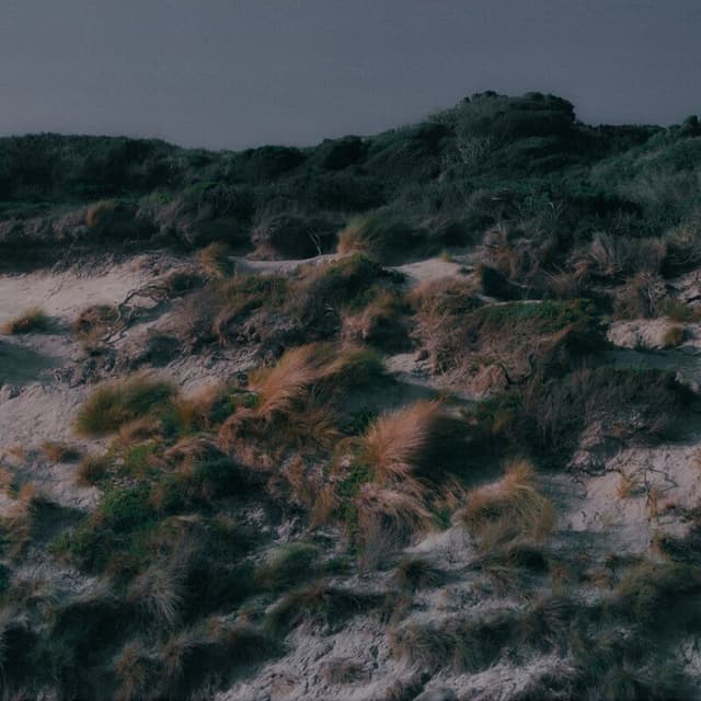 Riptide cover