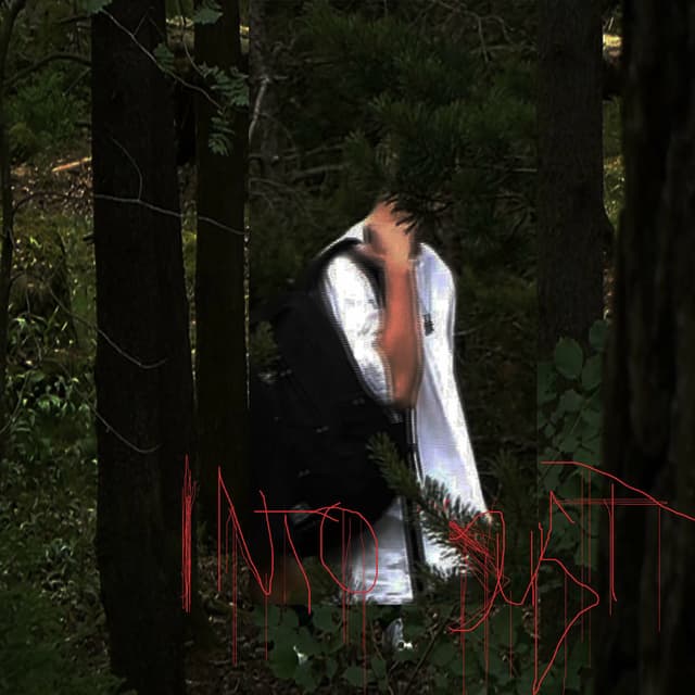 Into Dust cover