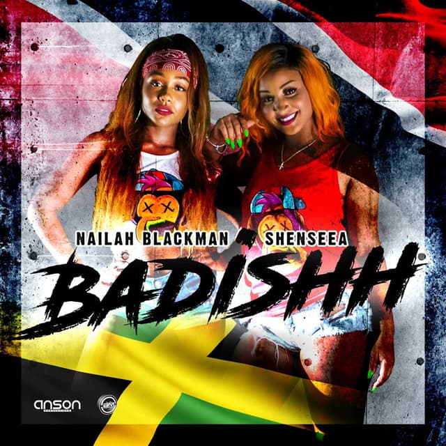 Badishh cover