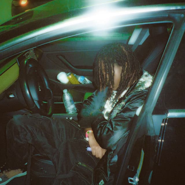 backseat cover
