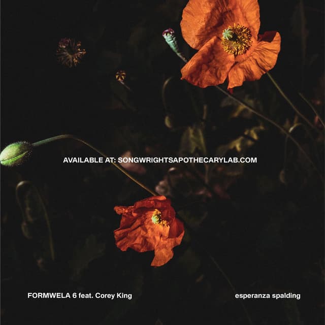 Formwela 6 cover
