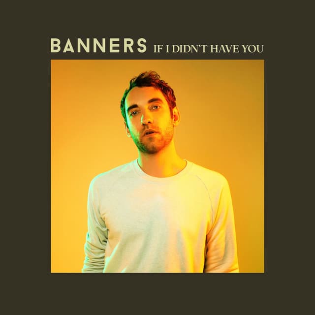 If I Didn't Have You cover