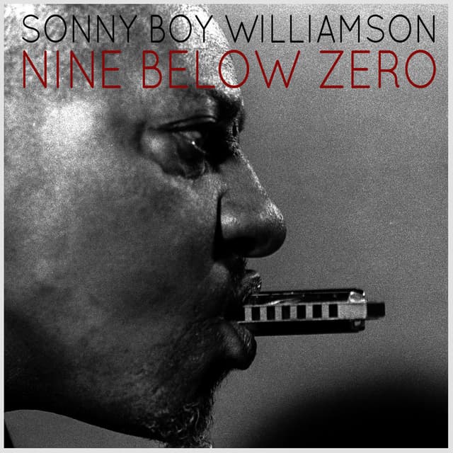 Nine Below Zero album cover