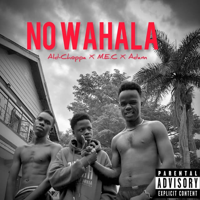 No wahala cover
