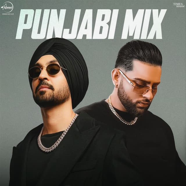 Punjabi Mix cover