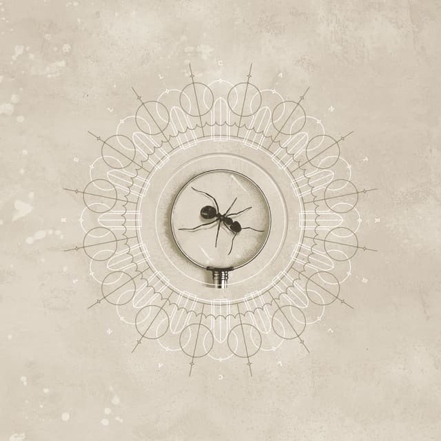 Brighten cover