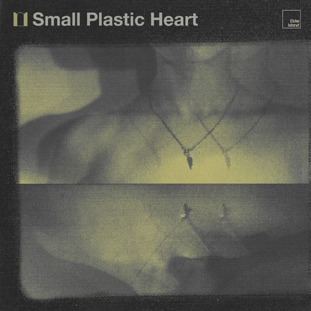Small Plastic Heart cover