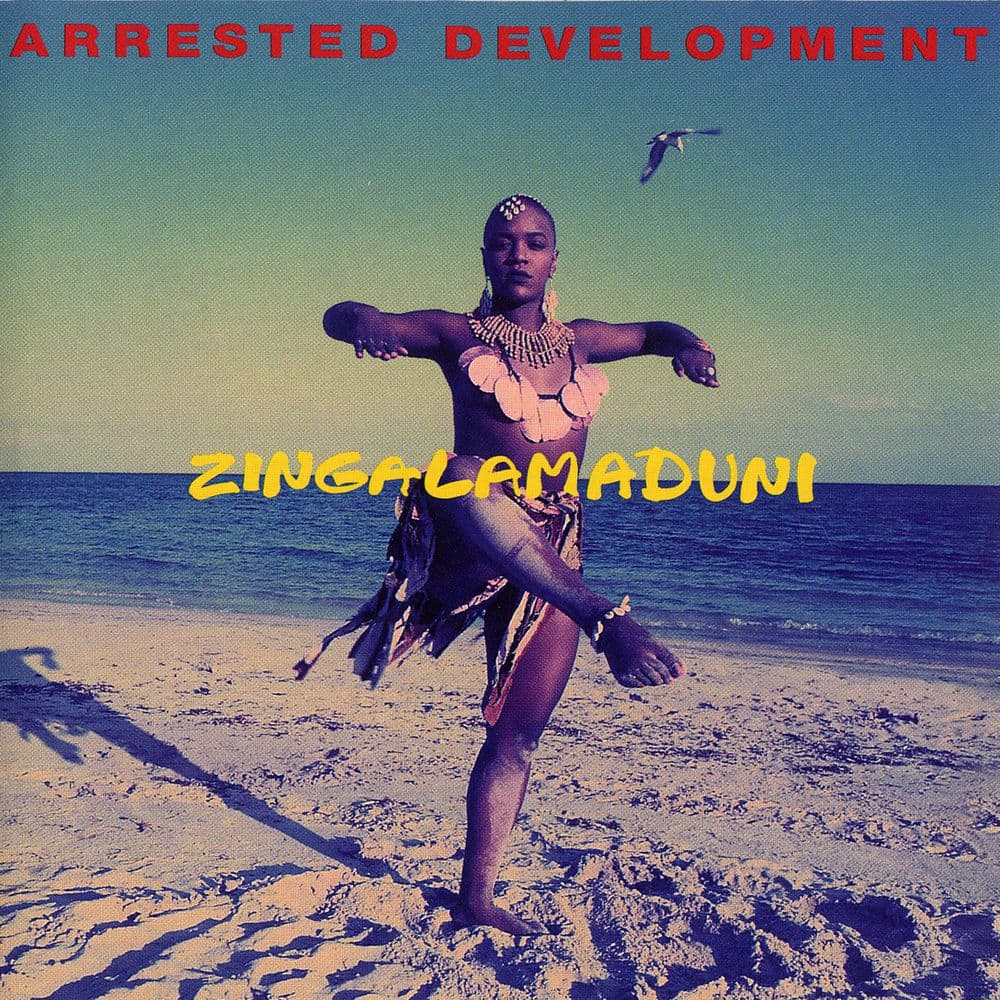 Zingalamaduni cover