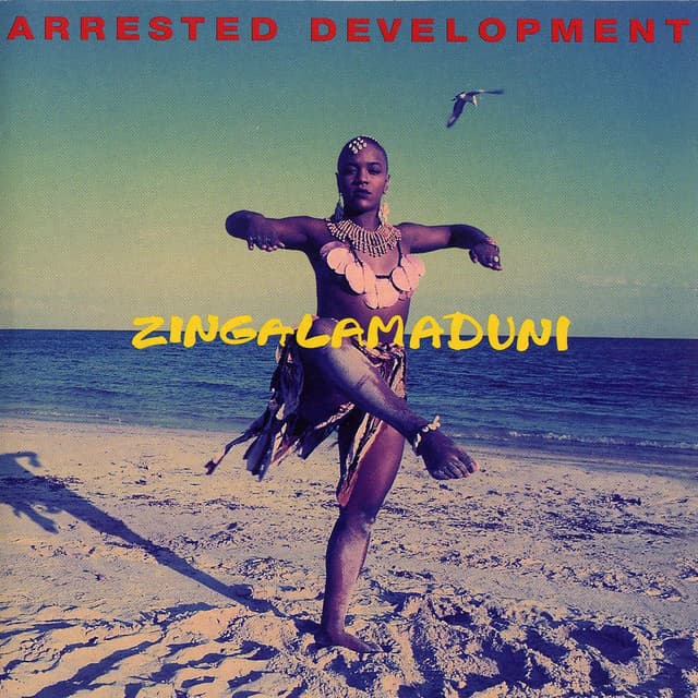 Zingalamaduni album cover
