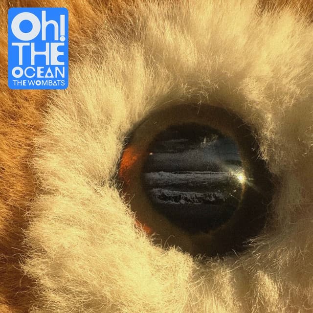 Oh! The Ocean album cover