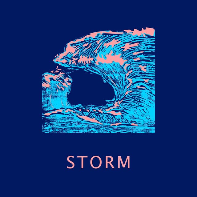 Storm cover