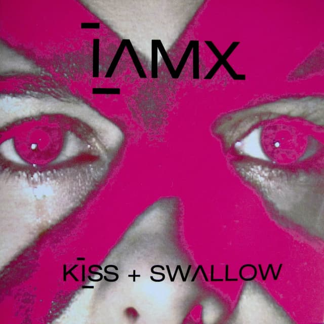 Kiss And Swallow cover