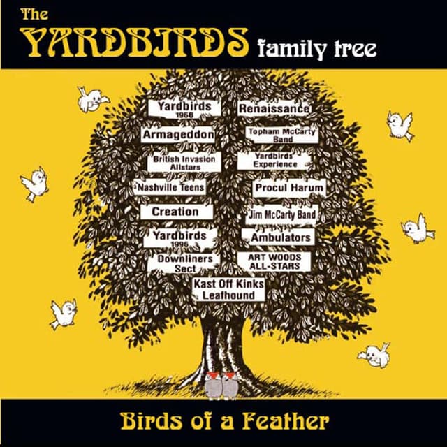 Birds Of A Feather cover
