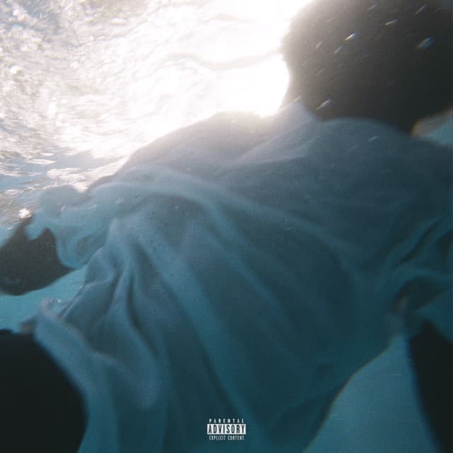 Violet cover