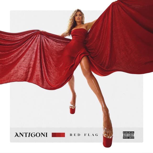 Red Flag cover