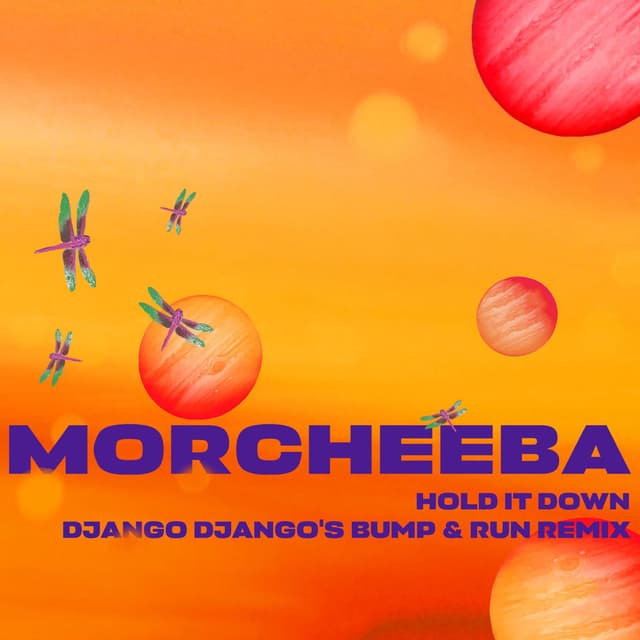 Hold It Down (Django Django's Bump & Run Remix) cover