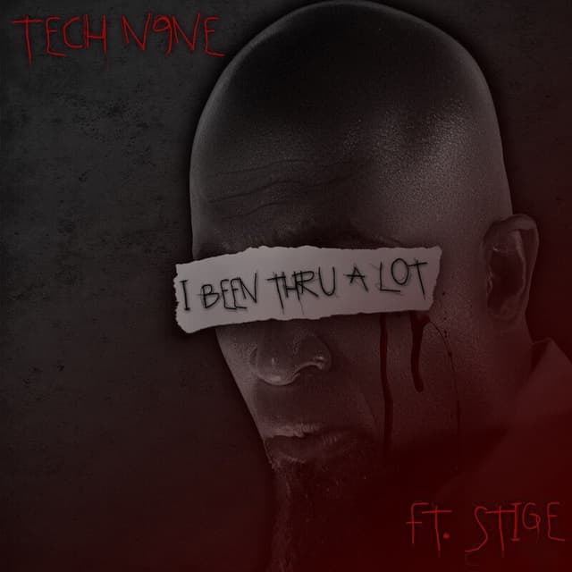 I Been Thru A Lot cover