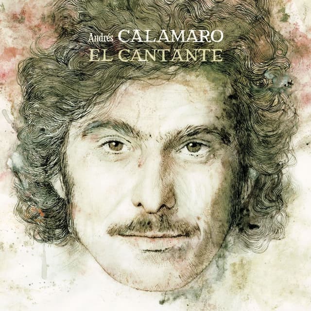 El cantante cover
