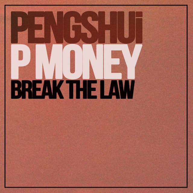 Break The Law cover