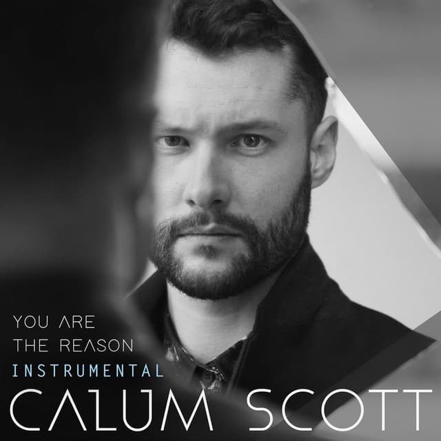 You Are The Reason (Instrumental) cover