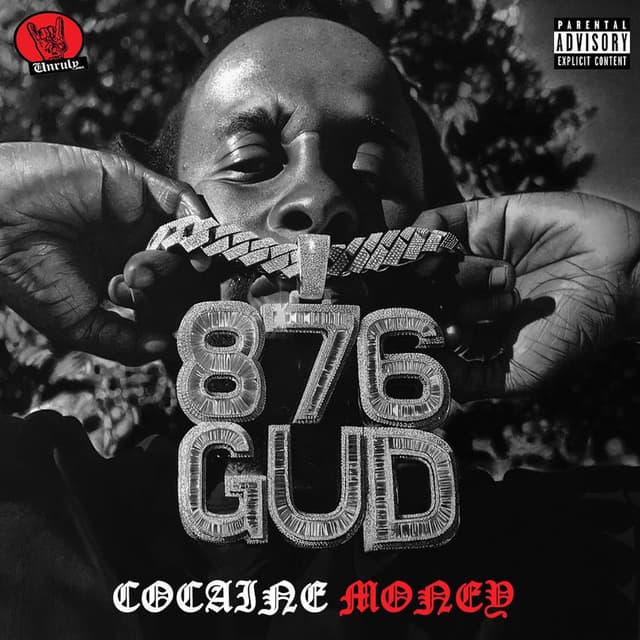 Cocaine Money cover