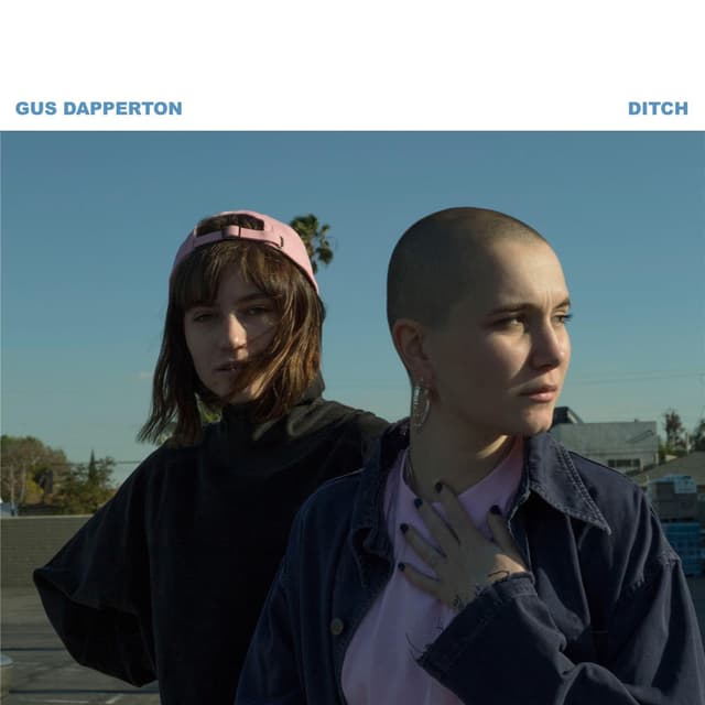 Ditch cover