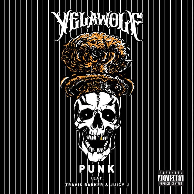 Punk cover
