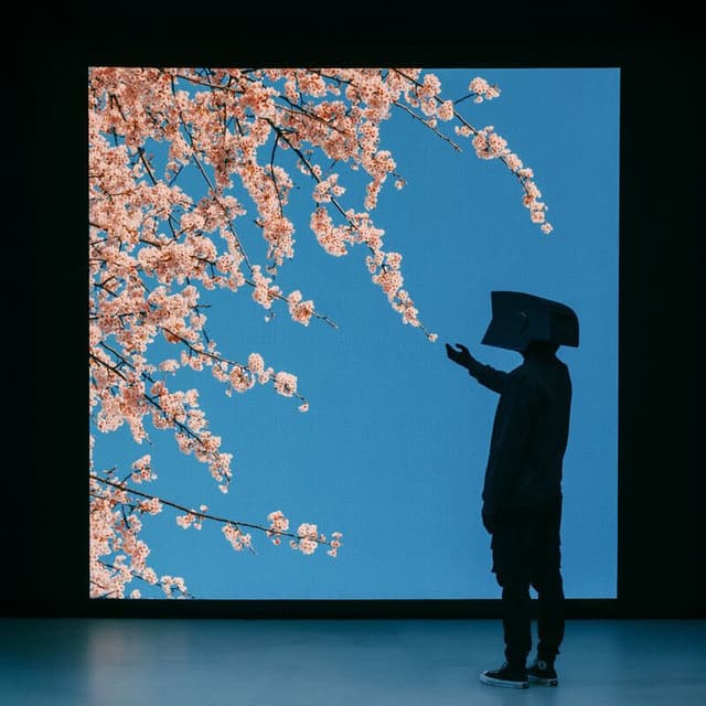 Reflection cover