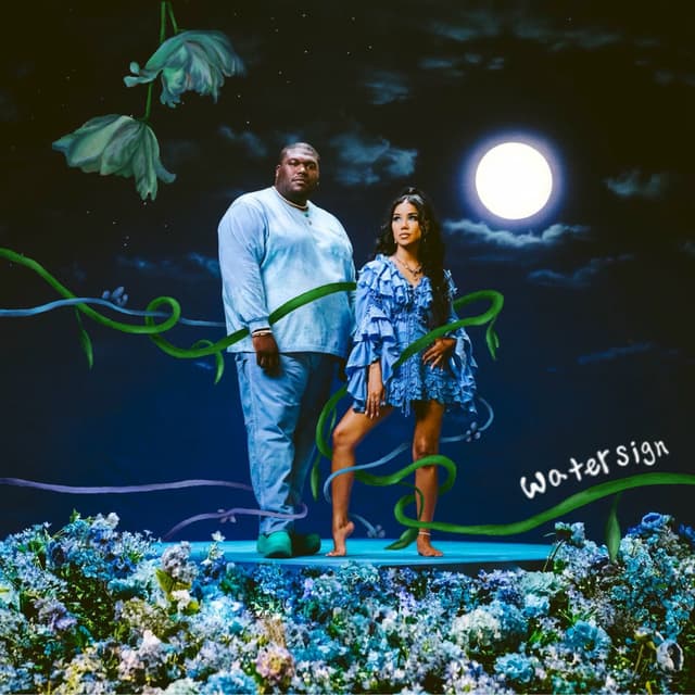 Water Sign cover