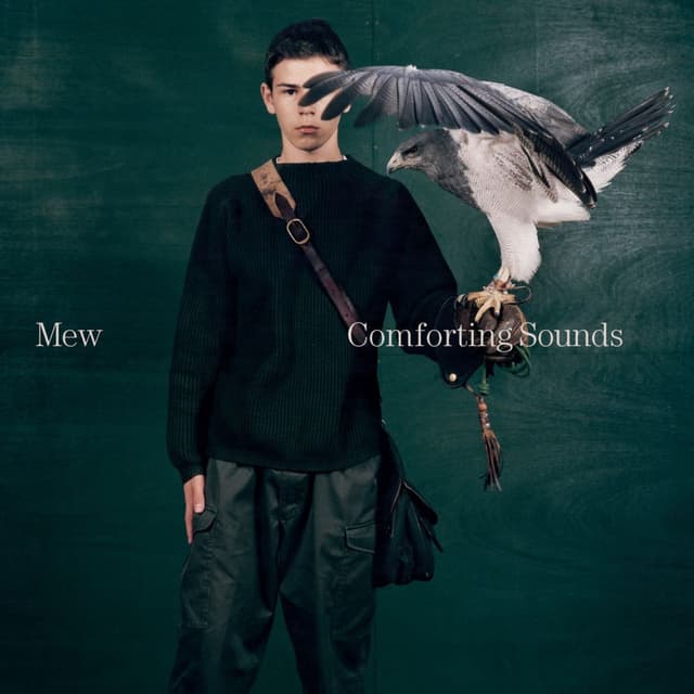 Comforting Sounds cover