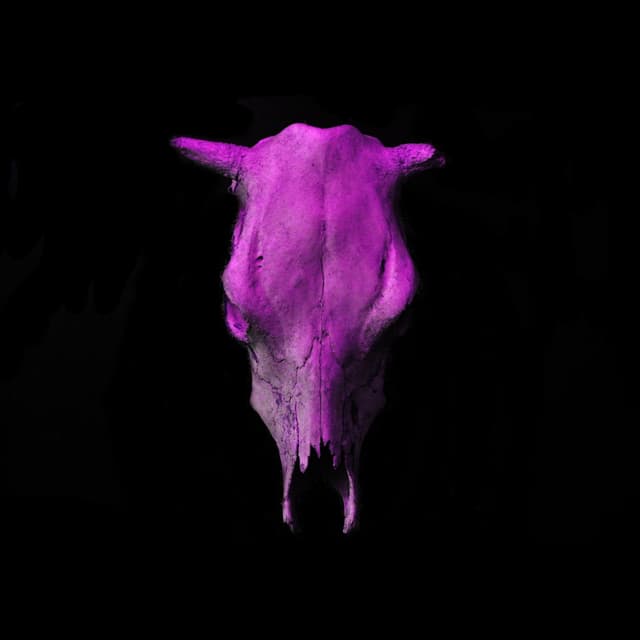 Sıkıntı Var cover