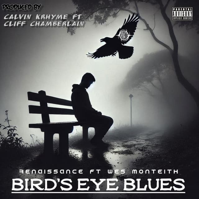 Bird's Eye Blues album cover