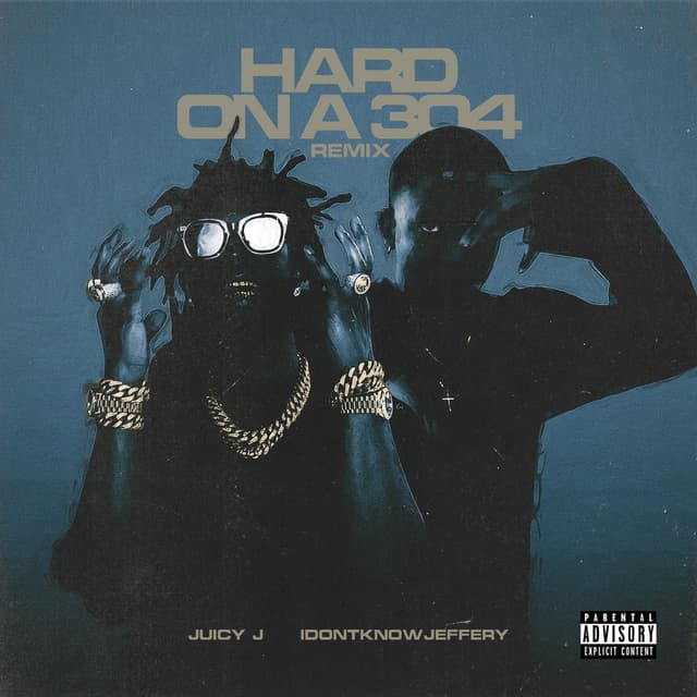 HARD ON A 304 cover