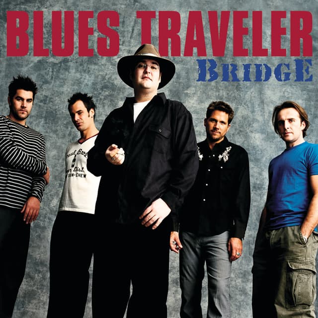 Bridge cover