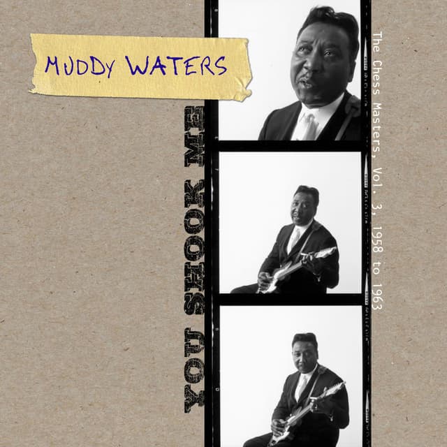You Shook Me - The Chess Masters, Vol. 3, 1958 To 1963 cover
