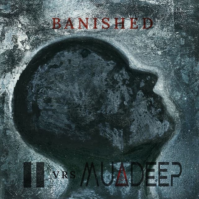 Banished cover