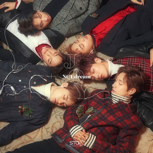 JOY cover