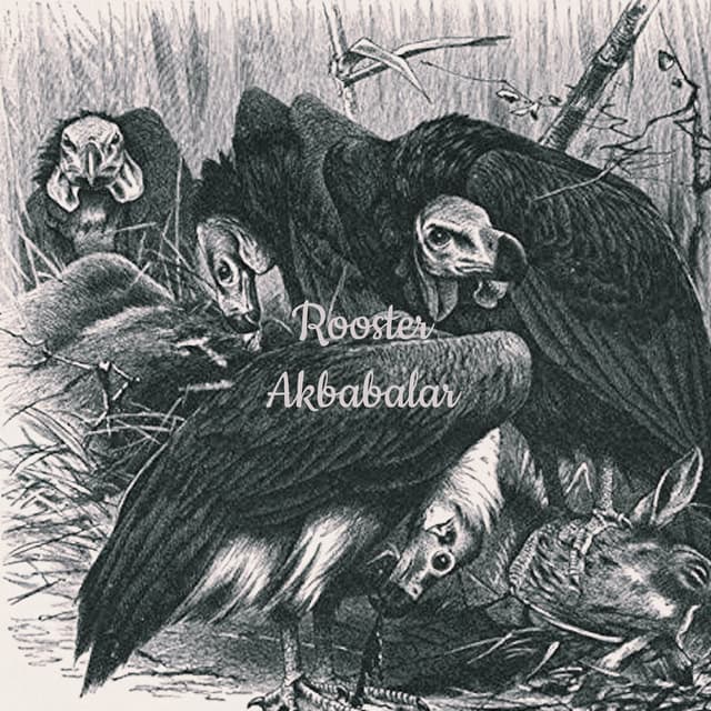 Akbabalar cover