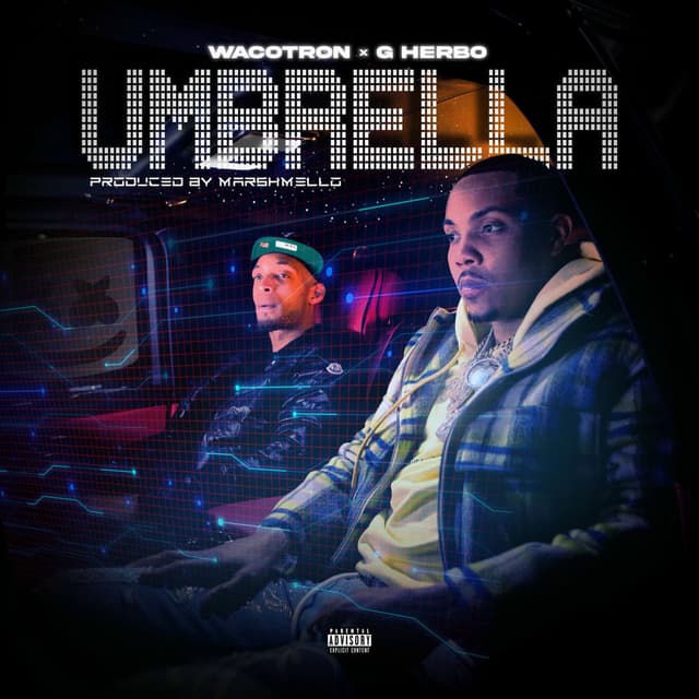 Umbrella cover